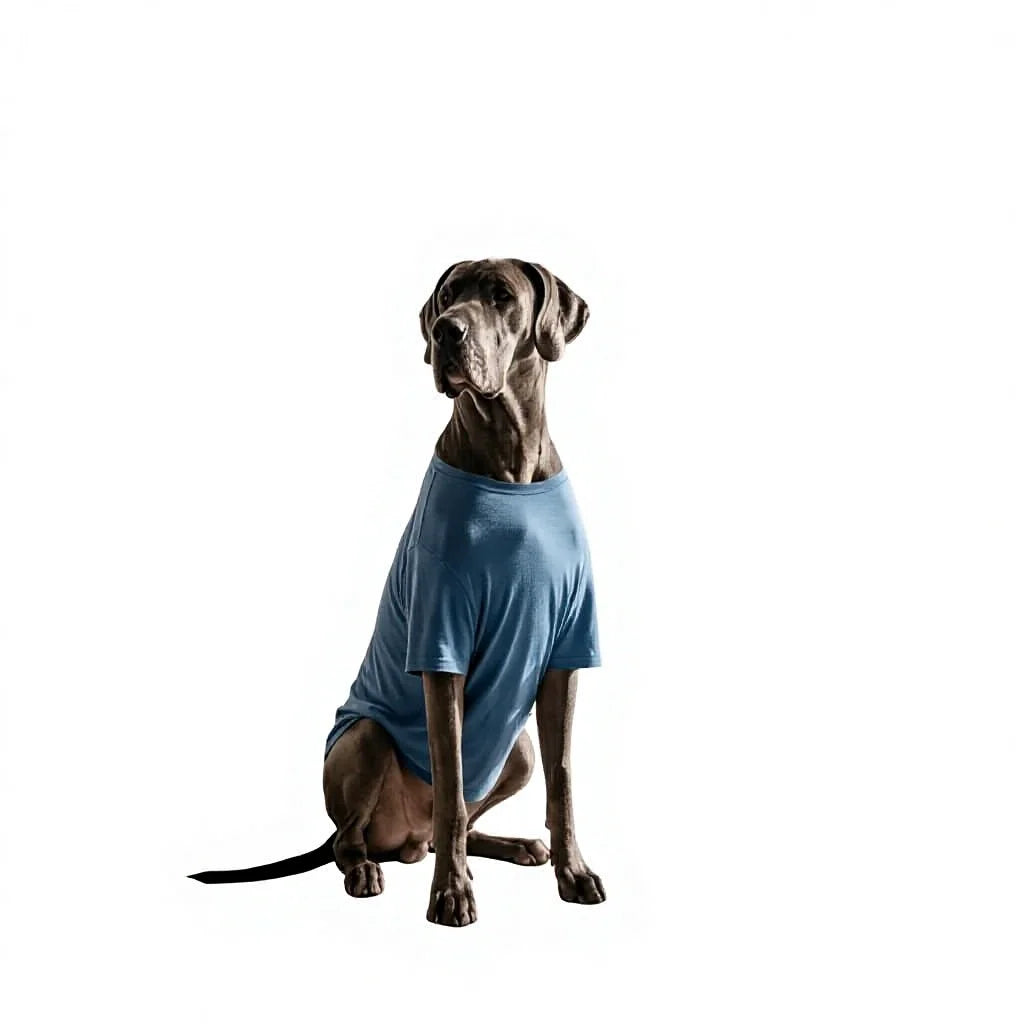 KOOLTAIL Large Dog T-Shirts | 2 Pack | 100% Cotton | Breathable Summer Wear for Large Dogs